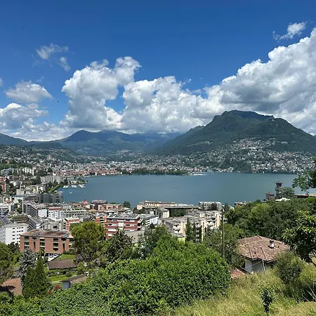 Charming New 1br Oasis Near Apartment