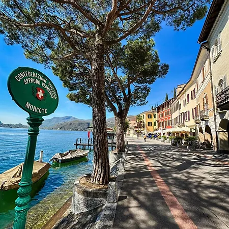 Charming New 1br Oasis Near Lake